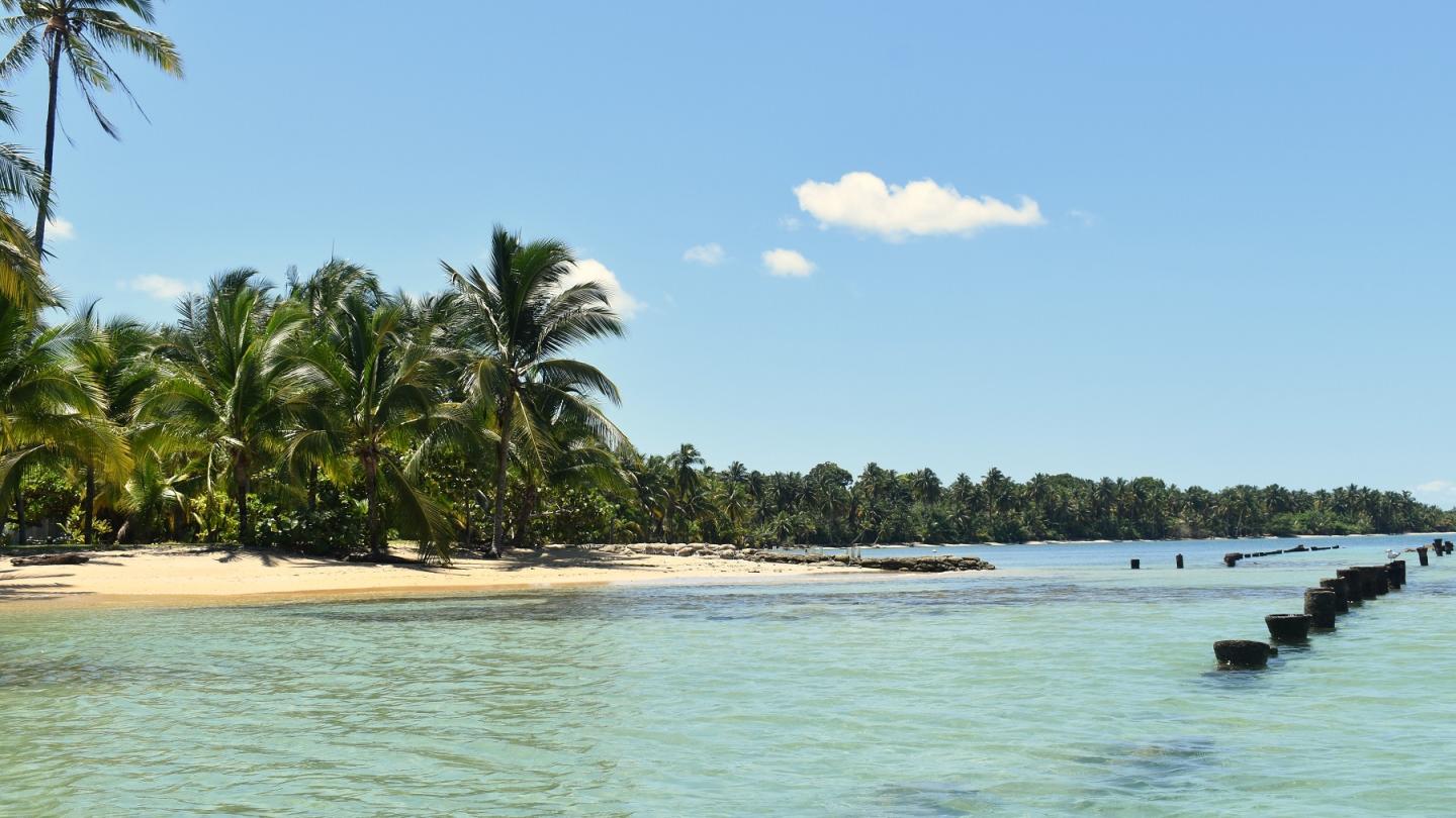 Panama Bocas
