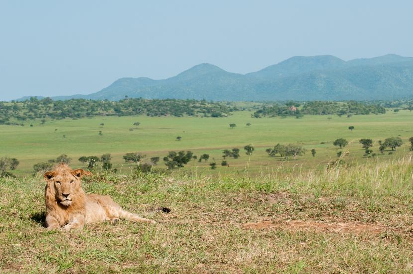 Oeganda Kidepo national park