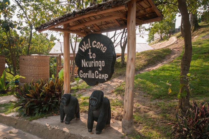 Oeganda Nkuringo Gorilla Camp