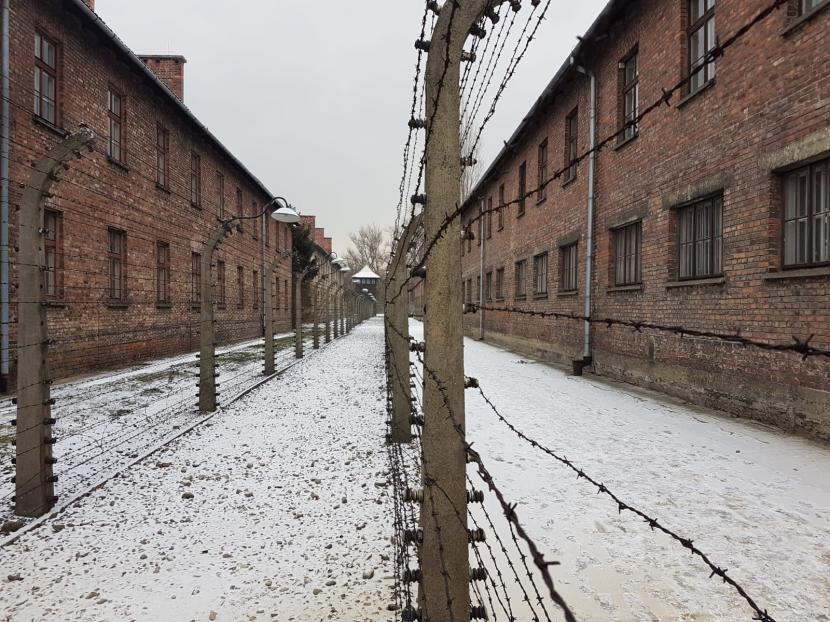 Auschwitz 2